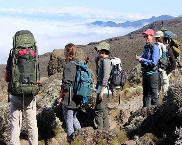 Kilimanjaro Lemosho route 8 Days