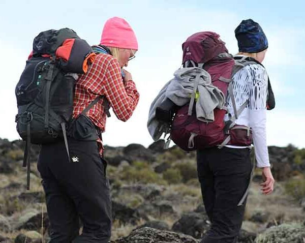 Kilimanjaro Lemosho route 8 Days