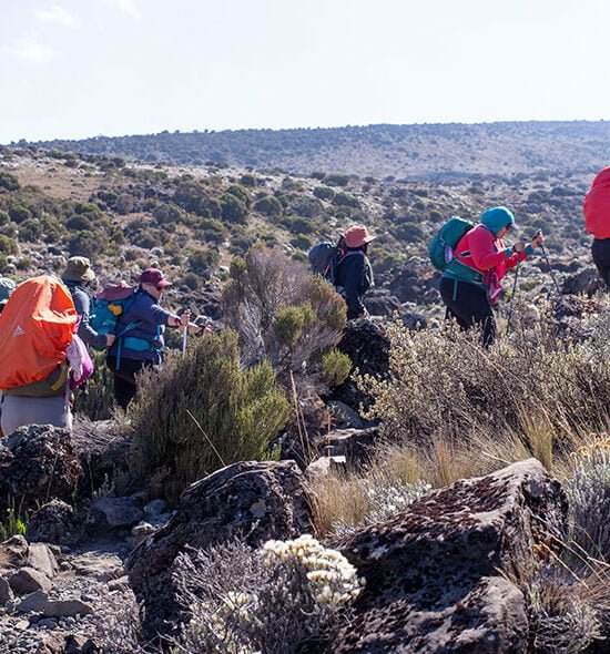 Mount Kilimanjaro 