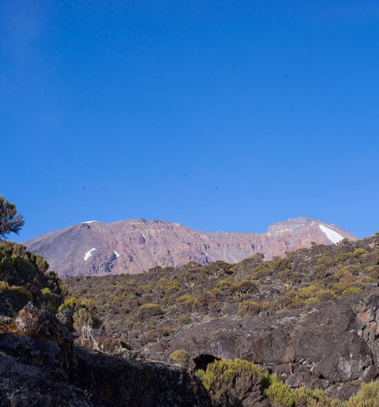 Mount Kilimanjaro 