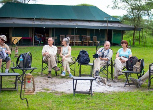 Unveiling the Wonders: What Makes a Safari in Tanzania Truly Special