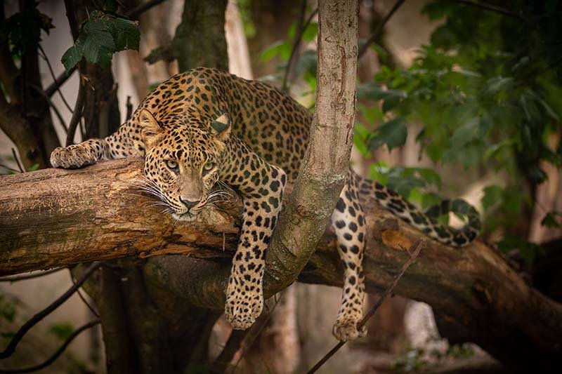 Serengeti National Park 