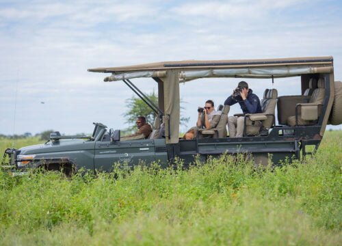 Exploring the Wilderness: A Safari in Tanzania National Park