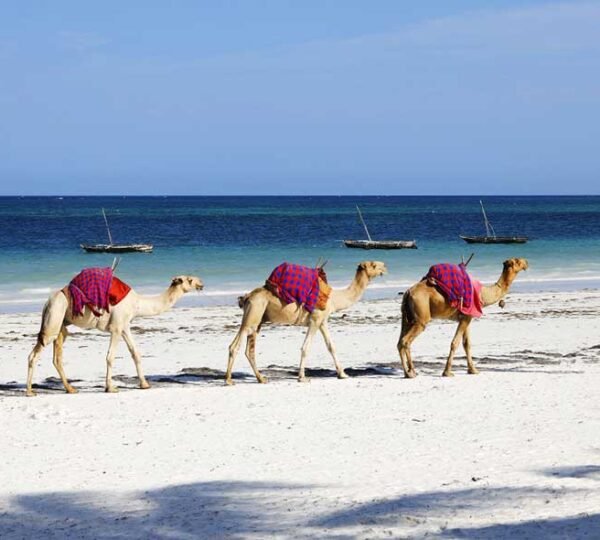 5 Days Zanzibar Spice Island Tour