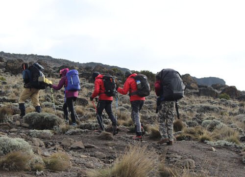 Kilimanjaro Umbwe Route 6 Days