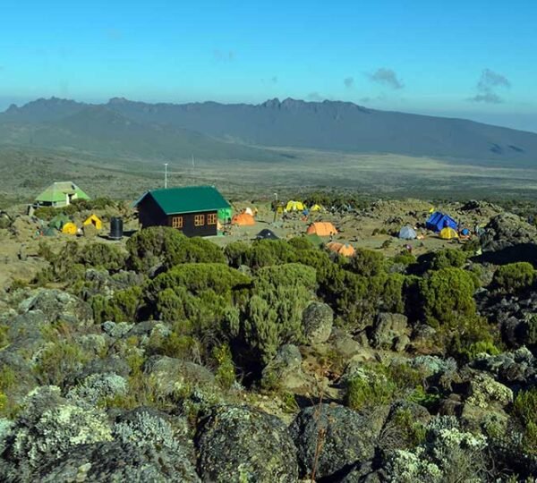 Mount Kilimanjaro Day Hikes