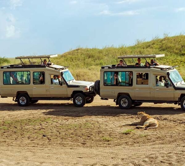 6 Days Tanzania Safari