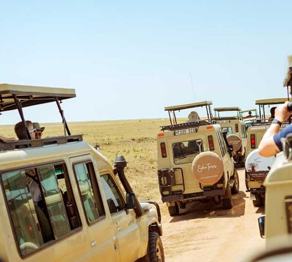 4 Days Tanzania Safari