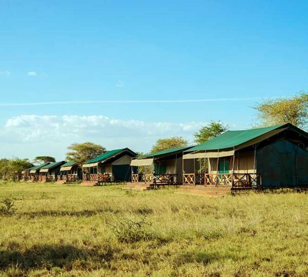 4 Days Tanzania Safari