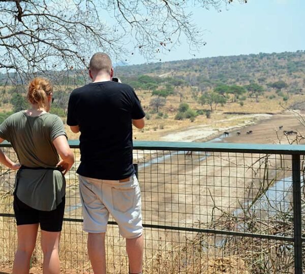 Arusha Safari