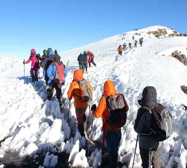 Kilimanjaro Machame Route 7 Days