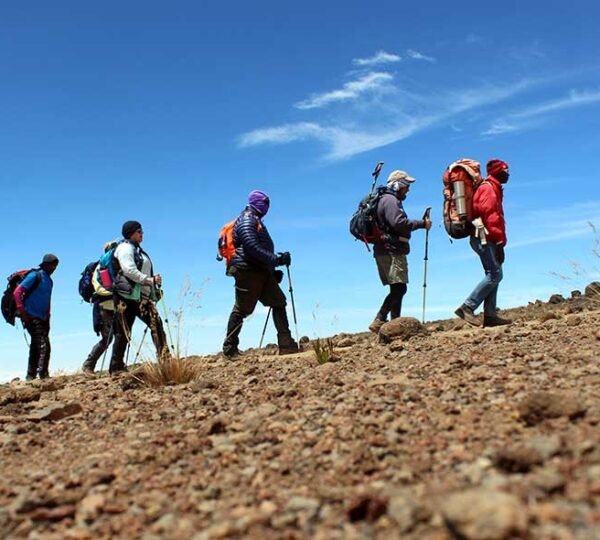 Mount Kilimanjaro Day Hikes