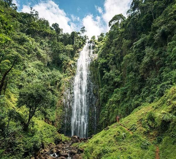 Materuni Water Falls Day Tour