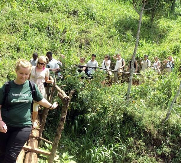 Materuni Water Falls Day Tour