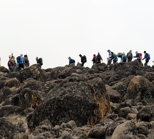 Kilimanjaro Shira Route 7 Days