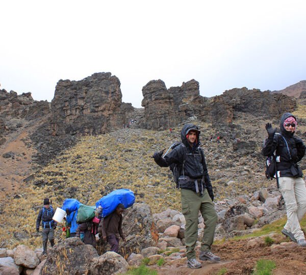 Kilimanjaro Northern Circuit Route 8 Days