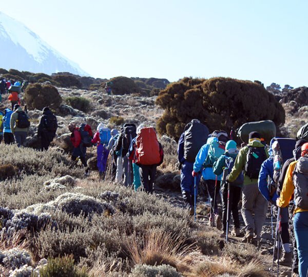 Kilimanjaro Umbwe Route 6 Days