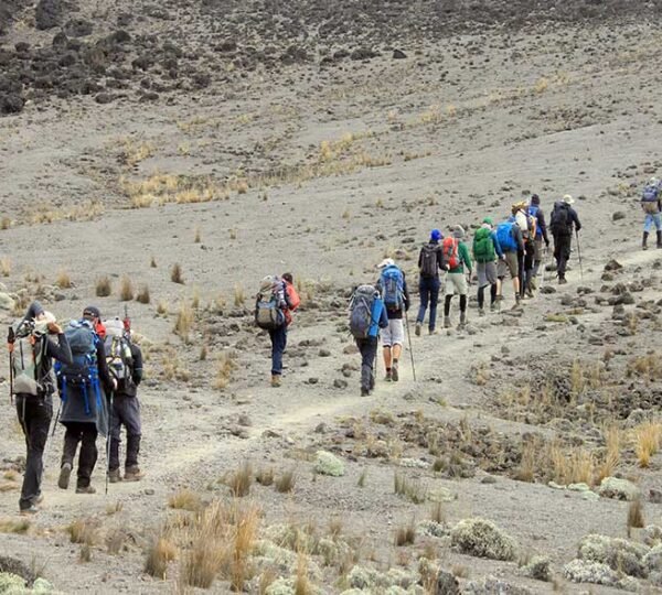 Kilimanjaro Shira Route 7 Days