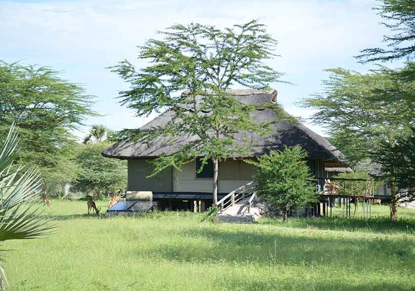  Tent Camping in Serengeti