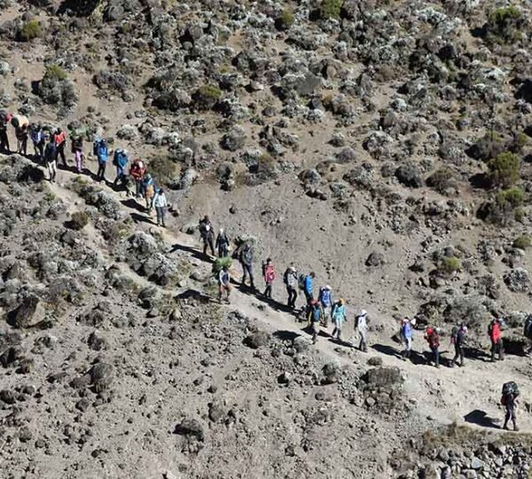 Kilimanjaro Machame Route 7 Days