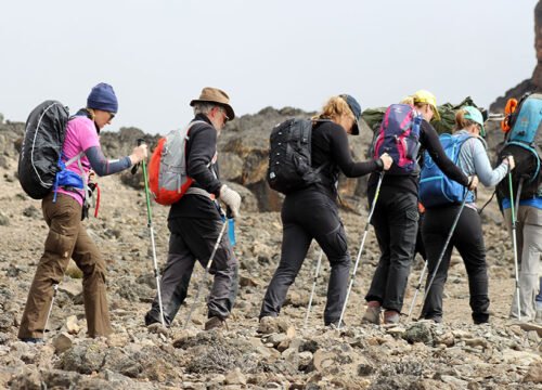 Kilimanjaro Northern Circuit Route 8 Days