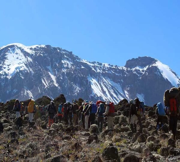 Kilimanjaro Marangu Route 5 Days