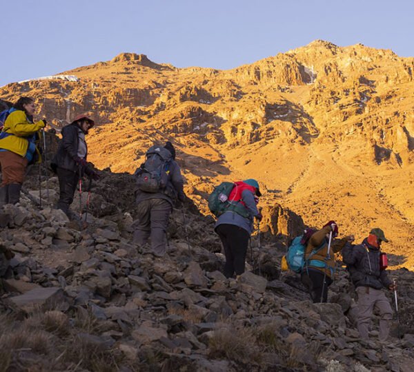 kilimanjaro-lemosho-route-8-days