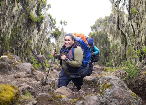 Kilimanjaro Lemosho Route 7 Days