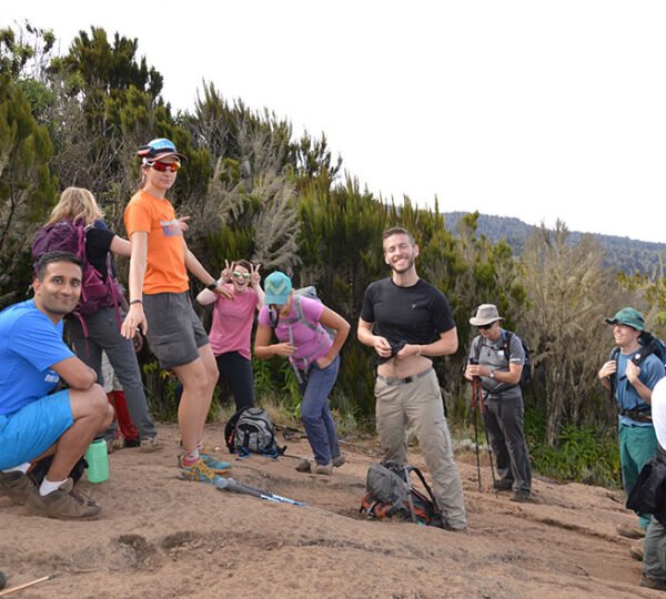 Kilimanjaro Lemosho 7 Days