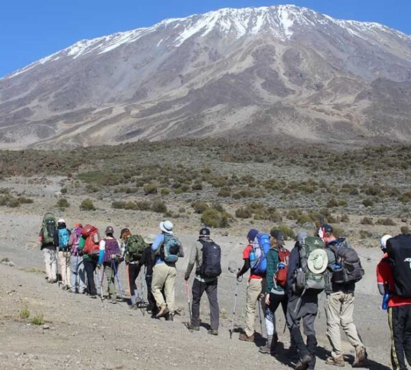 Kilimanjaro Marangu Route 6 Days