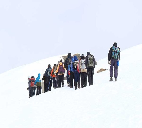 Kilimanjaro Marangu Route 6 Days